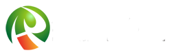 3nh三恩時